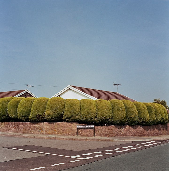 Autosave-File vom d-lab2/3 der AgfaPhoto GmbH