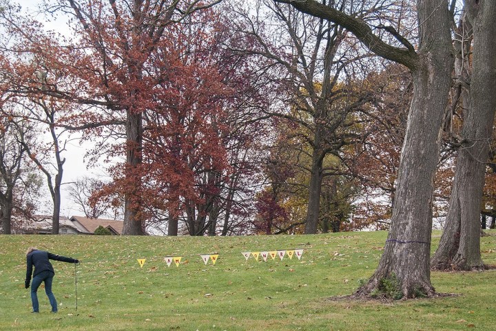 Now say it like you mean it