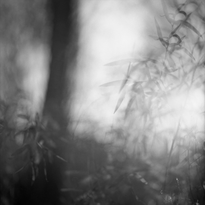 untitled (from the series, Before there were words)