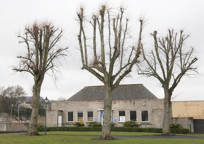 tumblr_nn7al0rxrh1rdmgllo1_r1_1280