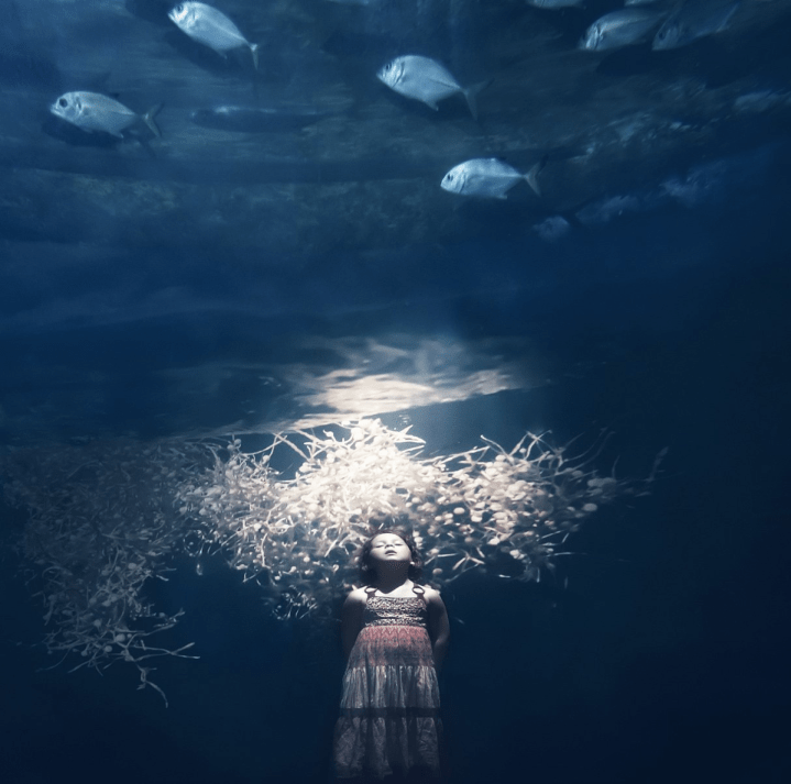 Screen Shot 2017-12-02 at 3.34.32 PM