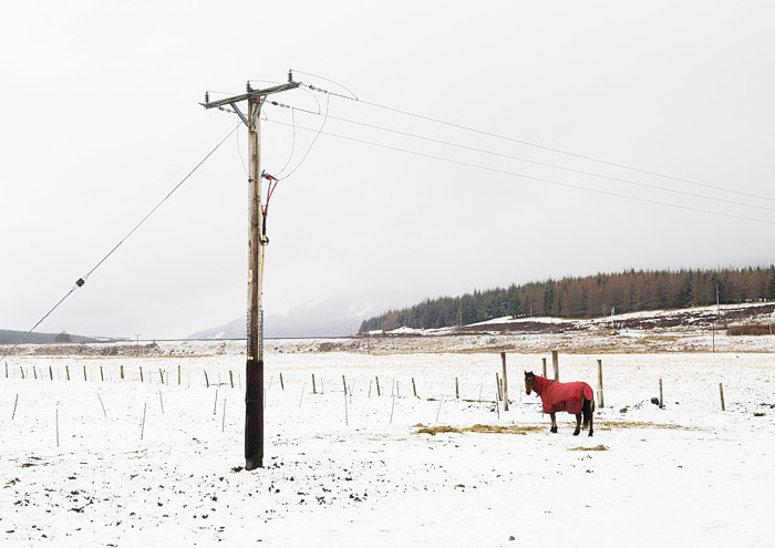 tumblr_mlpcqtkHC31rdmgllo1_1280