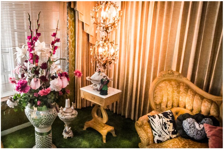 Screen Shot 2018-02-22 at 11.56.19 AM