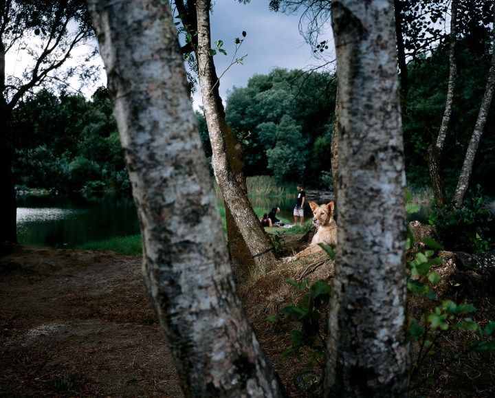 02.jpg__1568x0_q95_subsampling-2_upscale